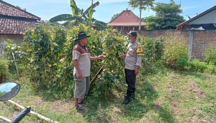 Polres Nganjuk Dukung Ketahanan Pangan, Manfaatkan Lahan Pekarangan Warga di Sonopatik