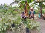 Polisi Ajak Warga Gagang Kepuhsari Balongbendo Kelola Lahan Kosong di Tanami Sayuran