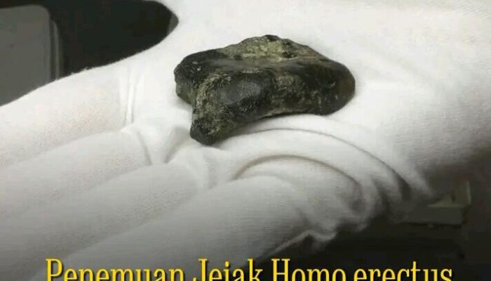 Jejak 140 Ribu Tahun Homo Erectus Sundaland Sudah Eksis di Selat Madura.