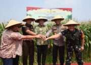 Dukung Swasembada Pangan Nasional 2025, Pemkab Sidoarjo Bantu 300 Ton Benih Jagung