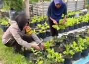Pomosda Dukung Ketahanan Pangan Lewat Pemanfaatan Lahan Pekarangan