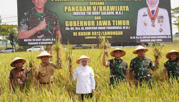 Pangdam V/Brawijaya Pimpin Panen Raya dan Tinjau Inovasi Pertanian Terpadu di Lamongan