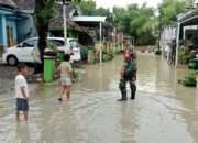 Babinsa Sigap Monitoring Wilayah Terdampak Banjir Luapkan Kali Lamong