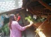 Wujud Peduli Terhadap Peternak Kambing Wilayah Binaan, Babinsa Menganti Himbau Kesehatan dan Kebersihan Kandang