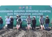 Kapolda Jatim Pimpin Penanaman Jagung Serentak di Nganjuk, Dukung Target Nasional 10 Juta Ton
