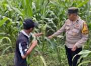 Bhabinkamtibmas Desa Bakung Temenggungan Masifkan Program Ketahanan Pangan Polresta Sidoarjo