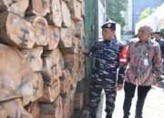 Kodaeral V Gagalkan Upaya Penyelundupan Kayu Ilegal Logging