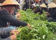 Angkat Potensi Penataban, Banyuwangi Gelar ‘Unting-Unting’ Kangkung