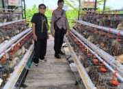 Bhabinkamtibmas Sidodadi Sambangi Peternakan Ayam Petelur, Tingkatkan Ketahanan Pangan