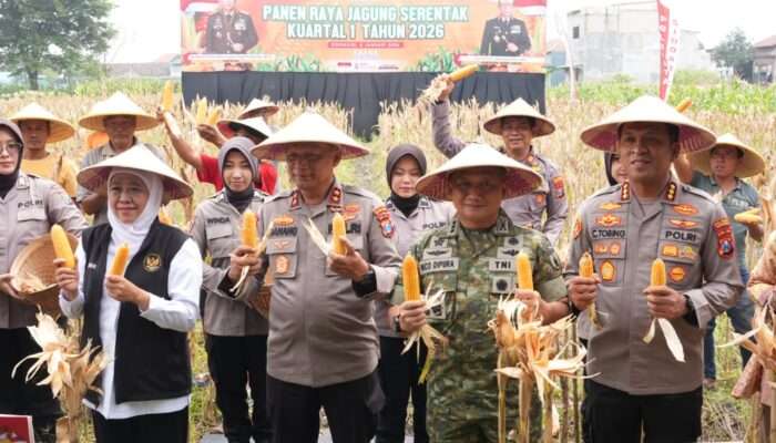 Polda Jatim Gelar Panen Raya Jagung Kuartal I 2026 di Sidoarjo