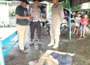 Respon Cepat Polsek Taman Tangani Adanya Warga Tergeletak Tanpa Identitas