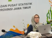 NTP Jatim Januari 2026 Turun, Produksi Padi dan Beras 2025 Justru Meningkat