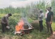 Respon Aduan Warga, Polsek Prambon Datangi Lokasi Sabung Ayam di Desa Jatikalang