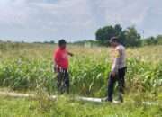 Kapolresta Sidoarjo Instruksikan Jajaran Optimalkan Program Ketahanan Pangan