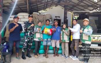 Babinsa Socah Dampingi Distribusi Benih Padi Hibrida untuk Petani