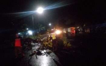 Polsek Balongbendo Evakuasi Pohon Tumbang, Arus Lalu Lintas Kembali Lancar