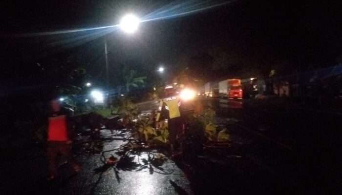 Polsek Balongbendo Evakuasi Pohon Tumbang, Arus Lalu Lintas Kembali Lancar