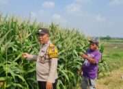 Polisi Sidoarjo Masif Dampingi Petani, Dukung Swasembada Pangan